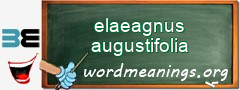 WordMeaning blackboard for elaeagnus augustifolia